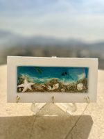 جاکلیدی دریا🐬🐚