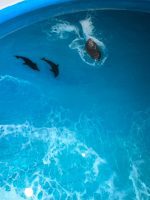 تابلو دریا برجسته🐚🐬⛵️ - Image 5