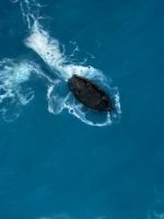 تابلو دریا برجسته🐚🐬⛵️ - Image 7